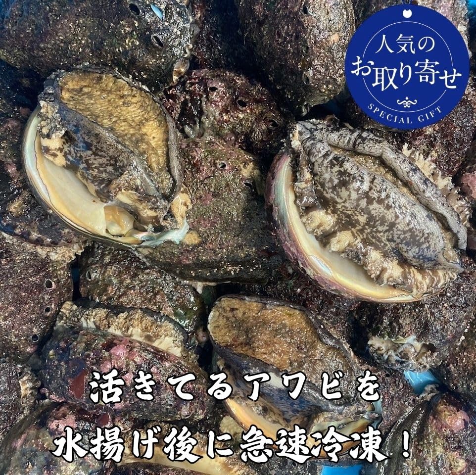 Amazon.co.jp: 北海道産 冷凍 蝦夷アワビ (2kg) 約16～30玉前後 刺身用
